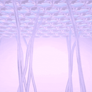 Sérum Redutor Instantâneo de Linhas